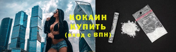 крисы Бугульма