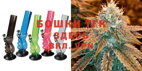 ПСИЛОЦИБИНОВЫЕ ГРИБЫ Верхний Тагил