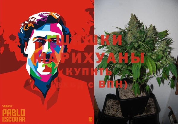 стаф Бронницы
