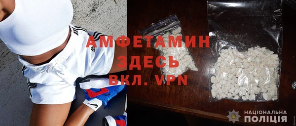 ПСИЛОЦИБИНОВЫЕ ГРИБЫ Верея