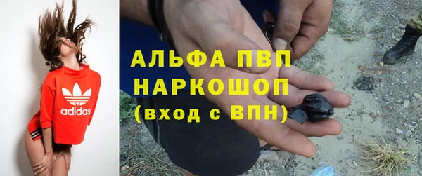 стаф Бронницы