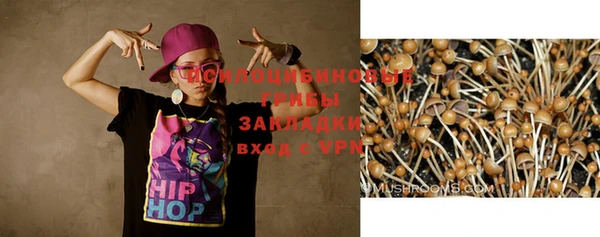 ПСИЛОЦИБИНОВЫЕ ГРИБЫ Верея